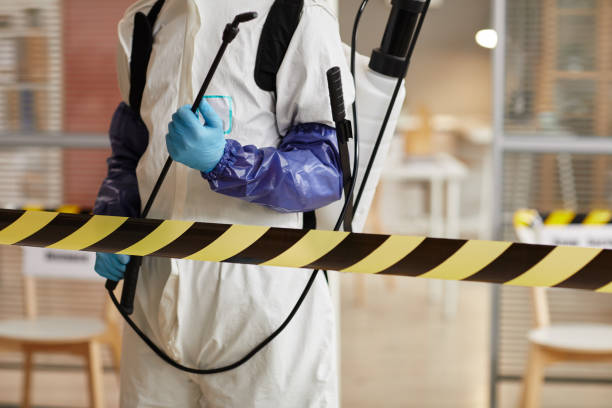Professional Sewage Cleanup technician working in North Palm Beach, FL